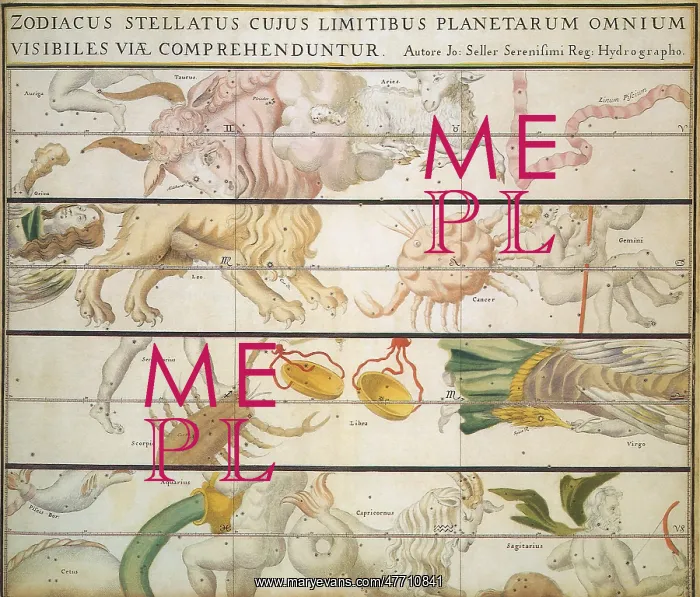  : Zodiac Constellations