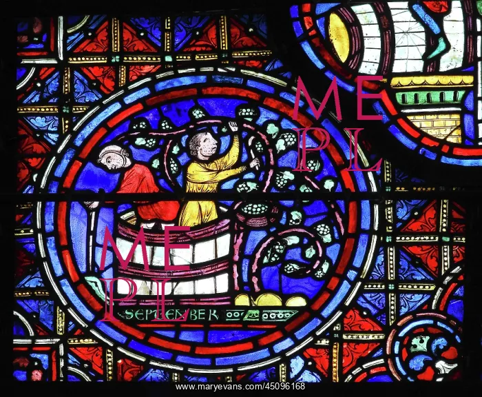 : Zodiac and labours of the months stained glass : Zodiac and labours of the months stained glass