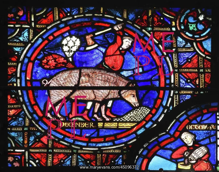: Zodiac and labours of the months stained glass : Zodiac and labours of the months stained glass