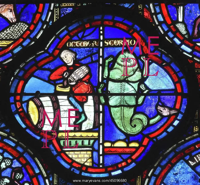: Zodiac and labours of the months stained glass : Zodiac and labours of the months stained glass