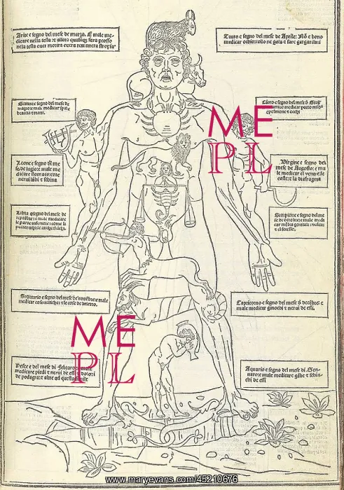 : Zodiac Man from illustrating how the human ? : Zodiac Man from illustrating how the human ?