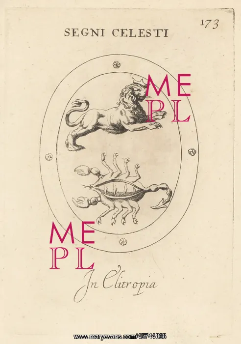 : Zodiac signs of Leo and Scorpio : Zodiac signs of Leo and Scorpio