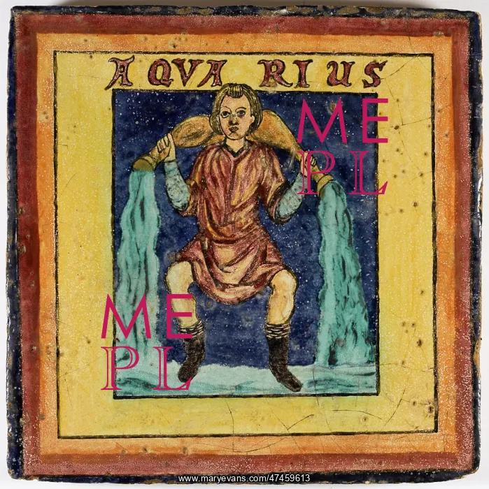 : ZODIAC TILE / AQUARIUS : ZODIAC TILE / AQUARIUS