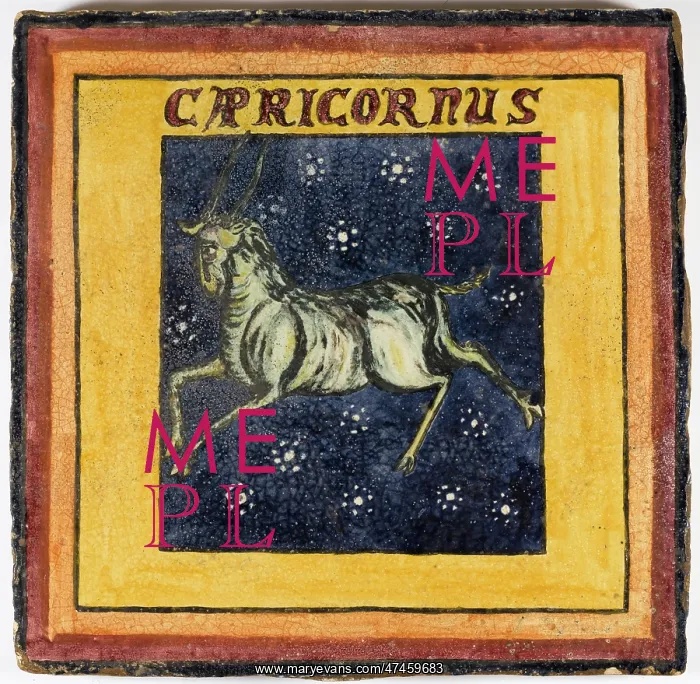 : ZODIAC TILE / CAPRICORN : ZODIAC TILE / CAPRICORN