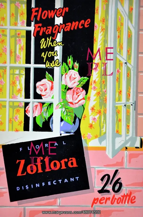 : Zoflora floral disinfectant : Zoflora floral disinfectant