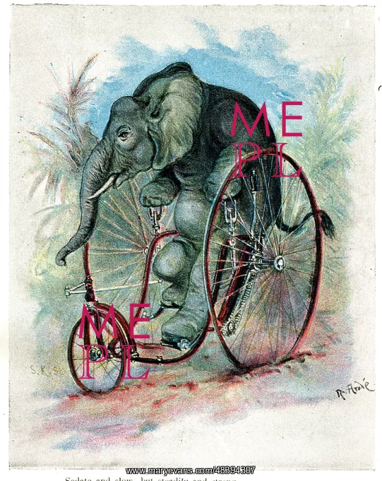 : Zoo Animals Up To Date on Cycles - Elephant on Velocipede : Zoo Animals Up To Date on Cycles - Elephant on Velocipede