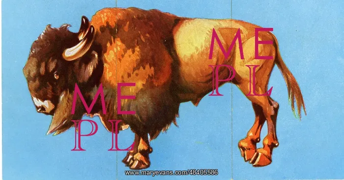  : Zoo Misfitz card game - bison