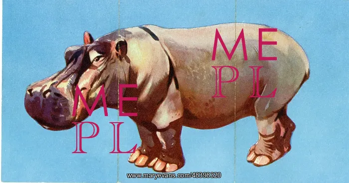  : Zoo Misfitz card game - hippopotamus