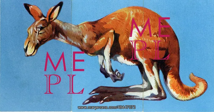  : Zoo Misfitz card game - kangaroo