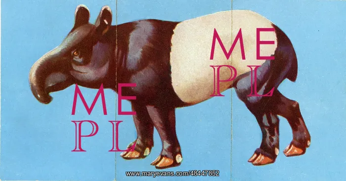  : Zoo Misfitz card game - tapir