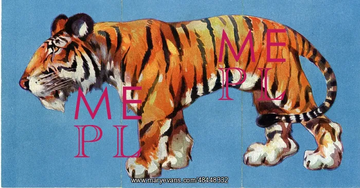  : Zoo Misfitz card game - tiger