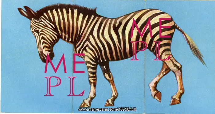  : Zoo Misfitz card game - zebra