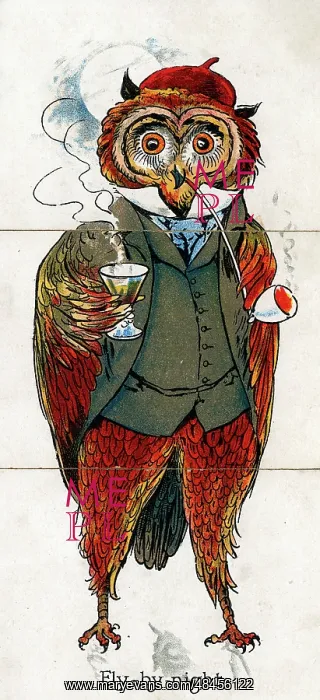  : Zoological Misfitz - Fly-by-night Owl