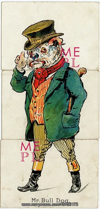 : Zoological Misfitz - Mr Bull Dog : Zoological Misfitz - Mr Bull Dog