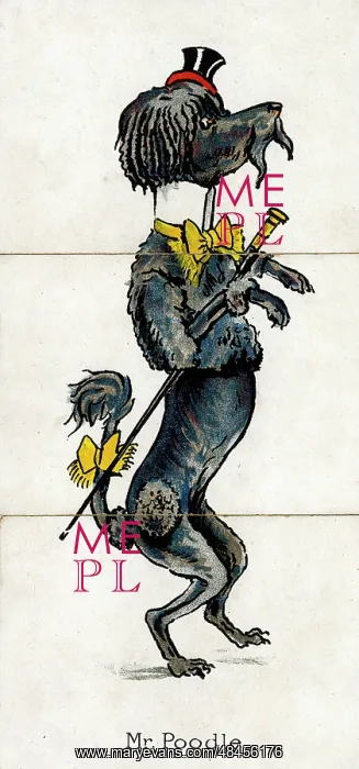 : Zoological Misfitz - Mr Poodle