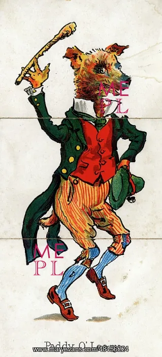 : Zoological Misfitz - Paddy O Leary : Zoological Misfitz - Paddy O Leary