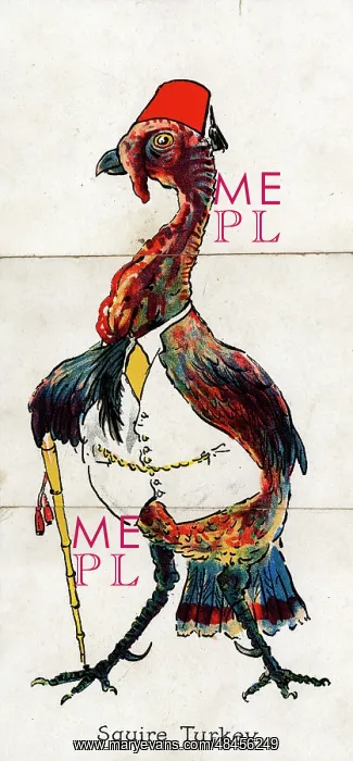 : Zoological Misfitz - Squire Turkey : Zoological Misfitz - Squire Turkey