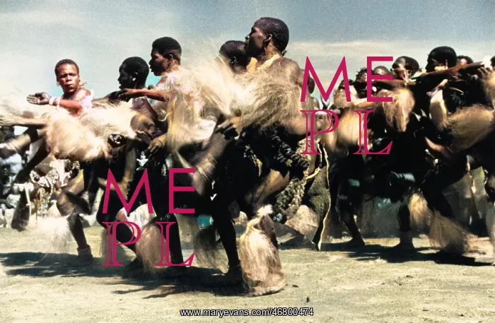 : Zulu Dance / Large group : Zulu Dance / Large group