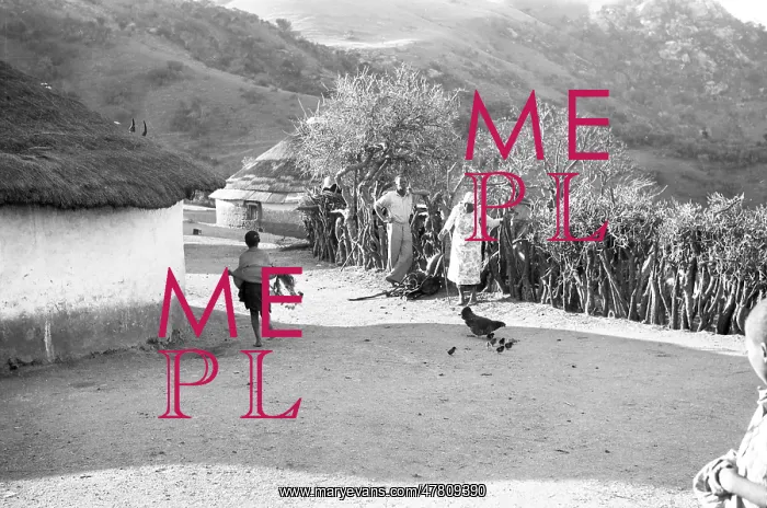  : Zulu village: with villagers