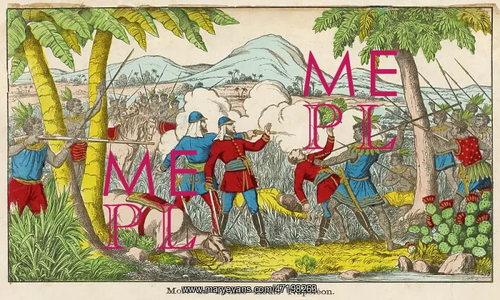 : ZULU WAR / PRINCE IMPERIAL : ZULU WAR / PRINCE IMPERIAL