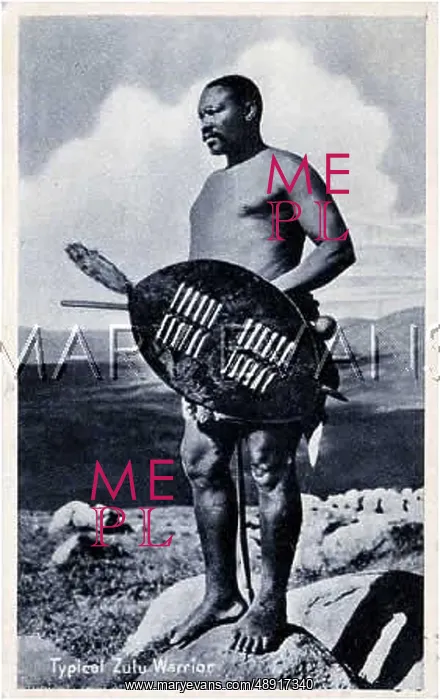 : A ZULU WARRIOR : A ZULU WARRIOR