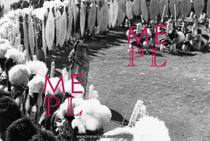 : Zulu Warriors Dancing : Zulu Warriors Dancing