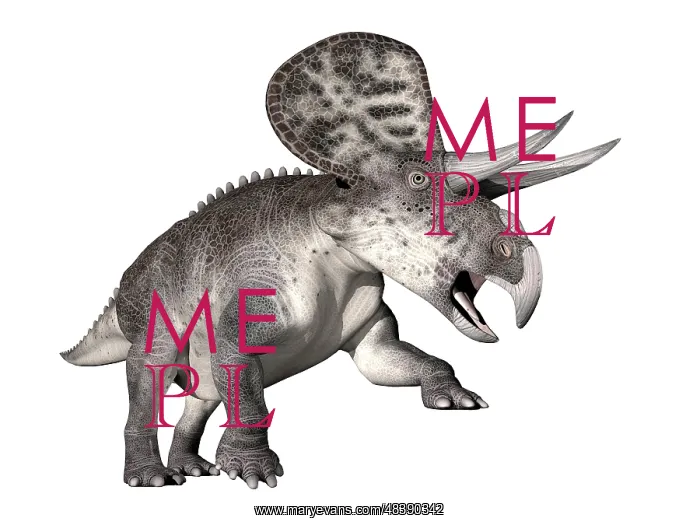 : Zuniceratops dinosaur, white background : Zuniceratops dinosaur, white background