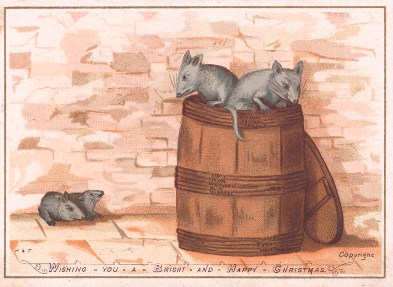 Four rats and a barrel on a Christmas card. Date: circa 1890s
