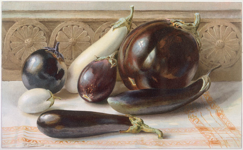 A still life of purple and white aubergines (or eggplants) displayed on a cloth.
circa 1900