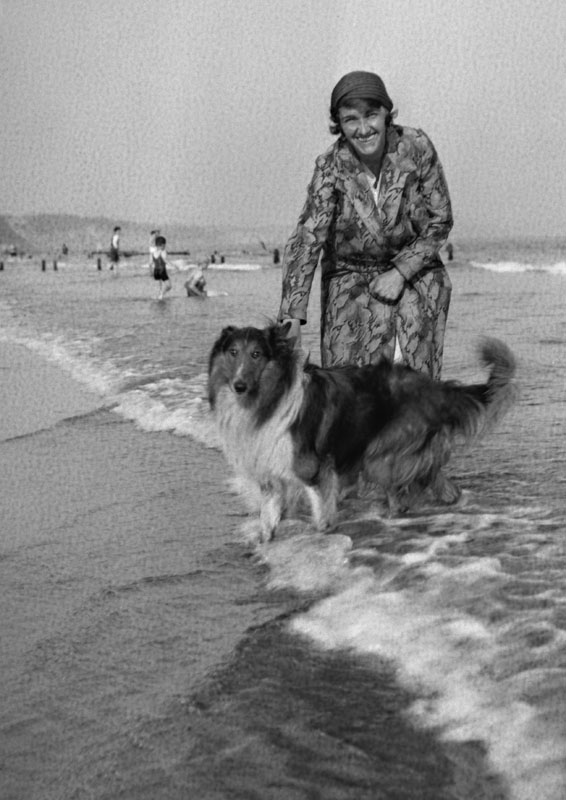 A woman with her collie dog, paddling in the sea.
circa 1930s