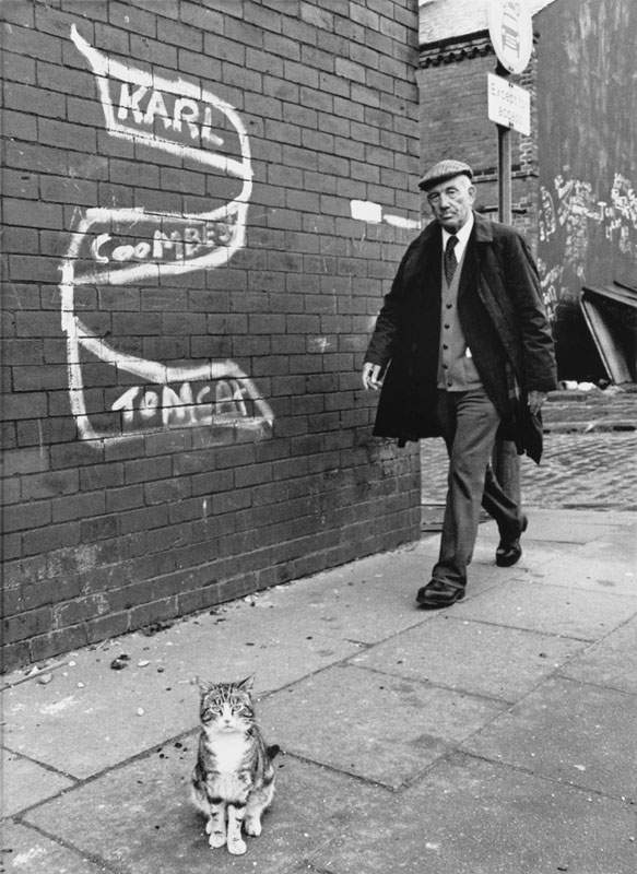 A pretty cat stands proudly on the pavement in Salford, Manchester below a slogan which reads: "Karl Coombe Tomcat". A smartly-dressed elderly man wearing a flat cap strides purposely along behind. Photograph by Shirley Baker Date: 1981
