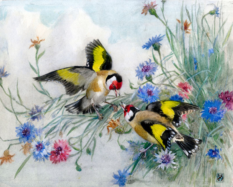 Two goldfinches with cornflowers.
20th century