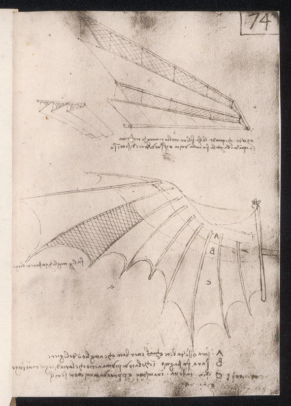 LEONARDO DA VINCI Sketches of wings for flying machines Date: circa 1500