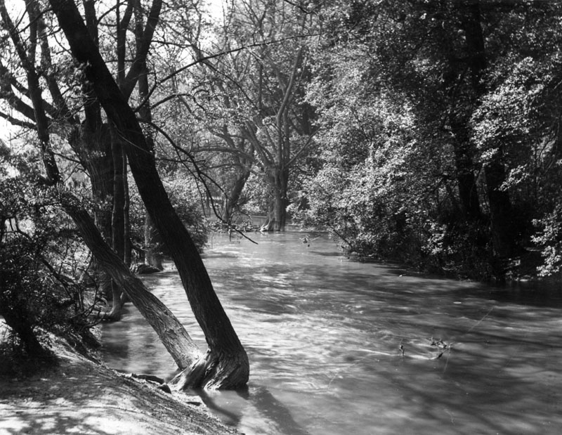 A flooded stream in Wanstead Park, Essex. Date: 1930s