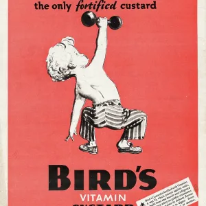 1940 UK Magazine Bird's Custard Advert 1940 UK Magazine Bird's Custard Advert