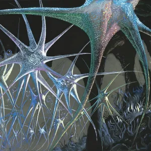 Abstract design with starfish shapes Abstract design with starfish shapes