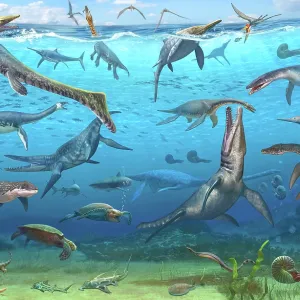 Abundance of prehistoric aquatic animals undersea Abundance of prehistoric aquatic animals undersea