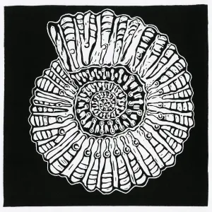 Ammonite