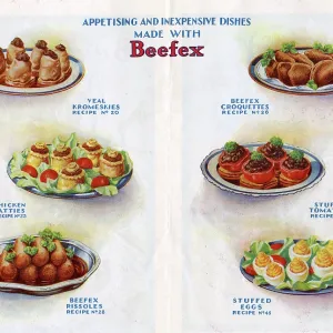 Appetising and inexpensive dishes made with Beefex Appetising and inexpensive dishes made with Beefex