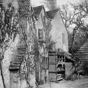 Apricot trees growing up a house wall Apricot trees growing up a house wall