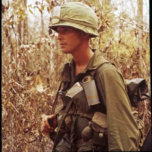 ARMY SOLDIER IN JUNGLE ARMY SOLDIER IN JUNGLE