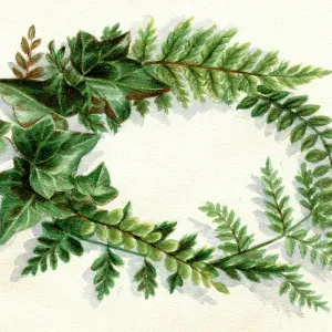 Artwork by Florence Auerbach, spray of green leaves Artwork by Florence Auerbach, spray of green leaves