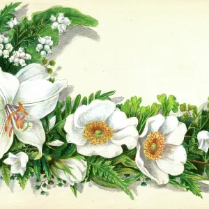 Artwork by Florence Auerbach, white flowers Artwork by Florence Auerbach, white flowers