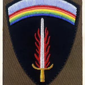 Badge of S.H.A.E.F Badge of S.H.A.E.F