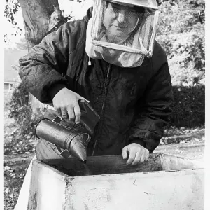 Beekeeping nun, Poor Clares Convent Beekeeping nun, Poor Clares Convent