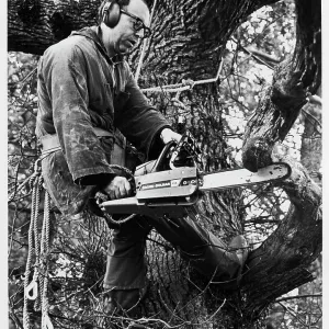 Benedictine monk working with chainsaw Benedictine monk working with chainsaw