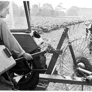 Benedictine nuns farming, Minster Abbey Benedictine nuns farming, Minster Abbey