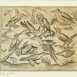 Ten birds sitting on branches and patches of grass Ten birds sitting on branches and patches of grass