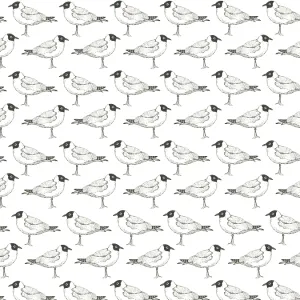 Black Headed gull repeating pattern Black Headed gull repeating pattern