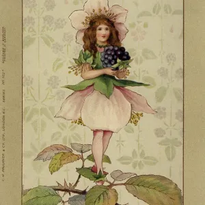 Blackberry fairy Blackberry fairy